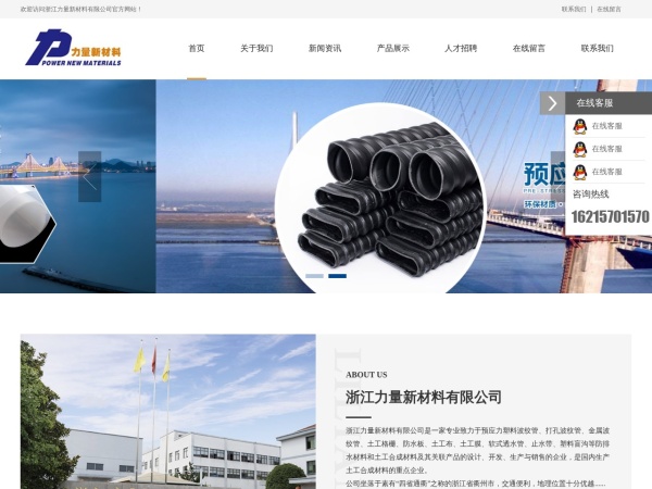 浙江力量新材料有限公司 官网截图